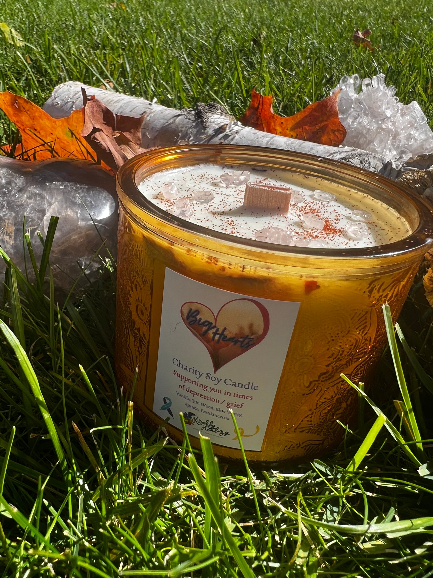 Big Hearts Charity Soy Candle